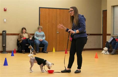 dog training st joseph mo